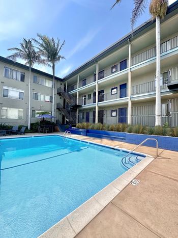 Sparkling swimming pool with tiled deck and palm trees